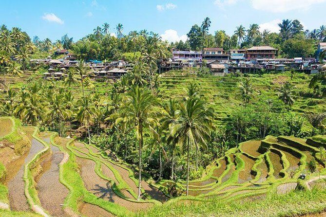 Central Bali Tour: Ubud Village, Kintamani Volcano, and Waterfall - Private, Air-Conditioned Transport Plus an English-Speaking Driver