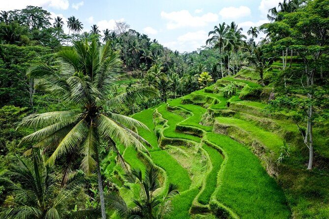 Central Bali Tour: Ubud Village, Kintamani Volcano, and Waterfall - Price and Value: Is $70 Per Person a Good Deal?
