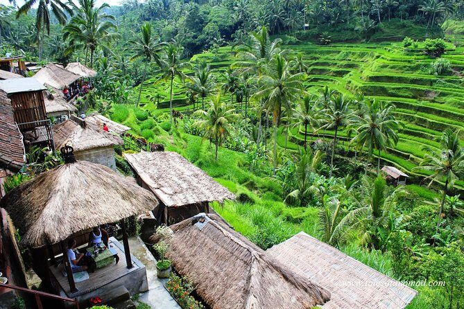 Charter Standard Vehicle with Driver at Bali- 5 Hours Usage - How the 5-hour private Bali charter actually plays out