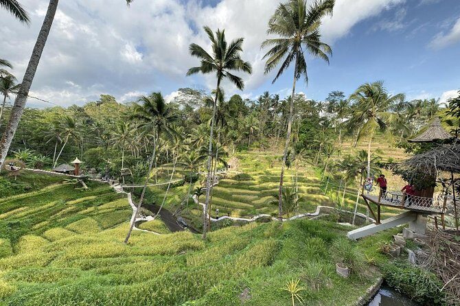 coconut wine and coffee safary tour - Who should book this coconut wine and coffee safari
