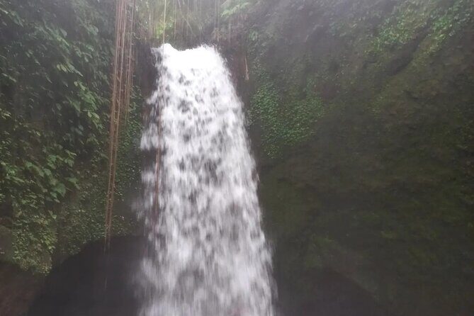CRETYA Ubud infinity Pool + Hidden Water fall + Water Temple Tour - Mas Carving Center: short art time with free entry