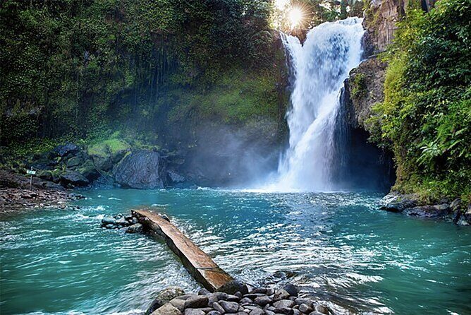 Customizable full-day tour of Bali with private driver - Stop 3: Sacred Monkey Forest Sanctuary and the Swing add-on