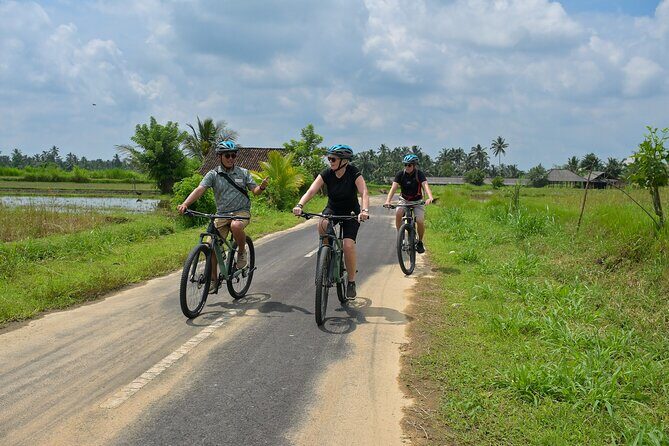 Cycling and Cooking Class in Ubud - Safety, Gear, and the Comfort Factor (That Lets You Enjoy It)