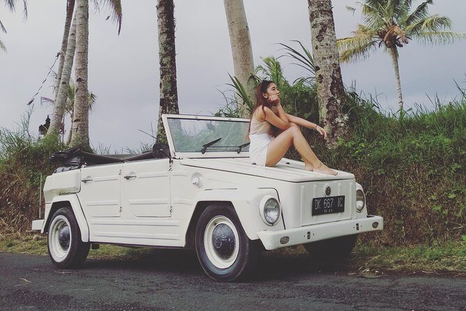 Daily VW Tour - Ubud VW Tour - Key Highlights at a Glance