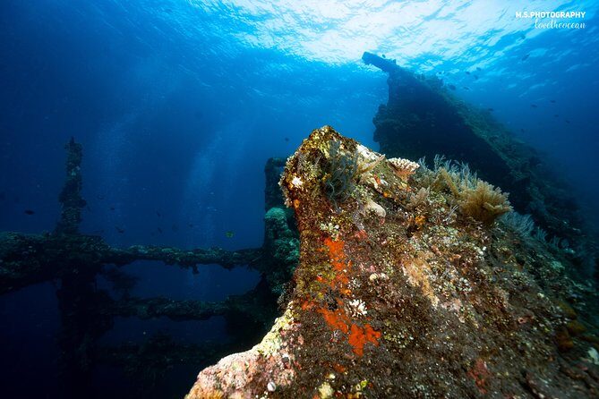 Day Trip certified divers - 3 Dives in Tulamben (pick-up & drop-off included) - Three sites in one day: Liberty wreck, Coral Gardens, Tulamben Drop Off