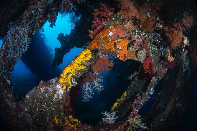 Day Trip certified divers - 3 Dives in Tulamben (pick-up & drop-off included) - Private instruction: how the guides help you see more