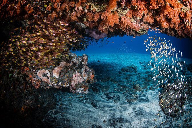 Day Trip certified divers - 3 Dives in Tulamben (pick-up & drop-off included) - Lunch and the in-between hours you’ll actually feel