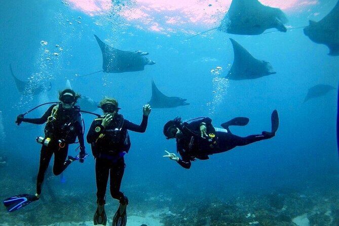 Day Trip Discover Scuba dive in Nusa Penida 2 dives (From Sanur - South Bali) - A beginner-friendly Nusa Penida day without the long course