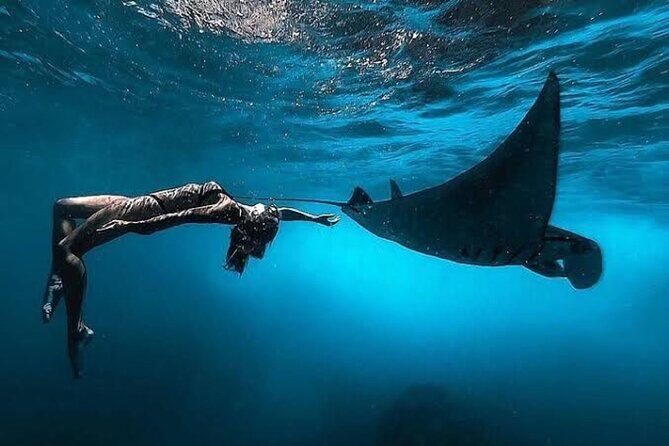 Day Trip: Nusa Penida Snorkling - Key highlights worth planning around