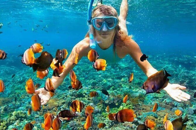 Day Trip: Nusa Penida Snorkling - Price and value: what your $79 day covers