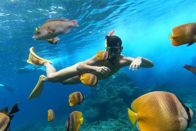 Day Trip: Nusa Penida Snorkling - Seminyak to Penida: transport, timing, and comfort
