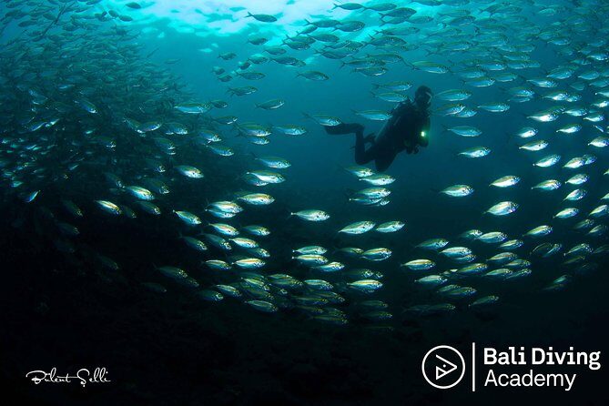 Day Trip Snorkeling in Tulamben - Explore Liberty Wreck (pick up in South Bali) - 10:30–11:00: briefing and gear check that sets you up for calm water