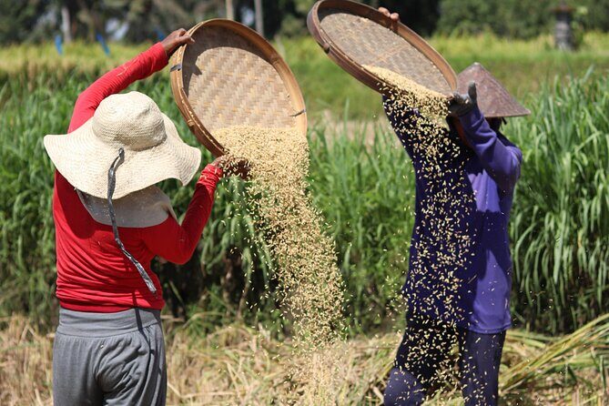 Day with a Balinese Family in a Village - The guide and the human touch: French or English, with familiar names