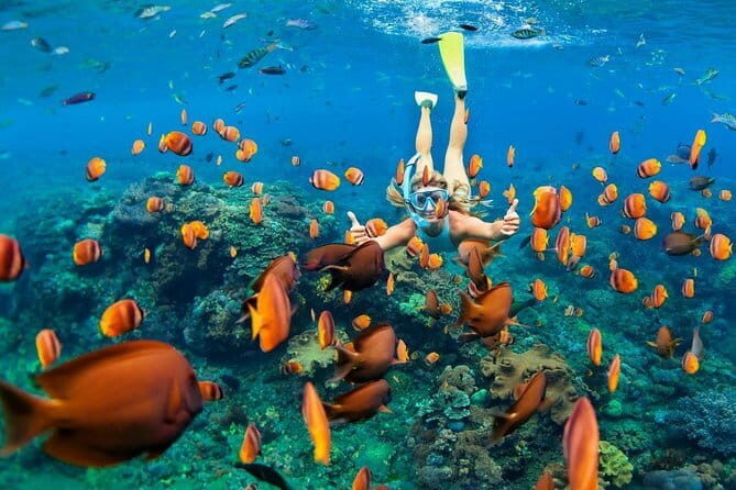 Discover Bali : Shore Excursion from Benoa Port with Free Wi-Fi - Price and value: what you get for $119