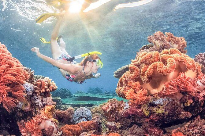 Discover East Bali: Snorkeling Blue lagoon & Instagramable Spots - Tirta Gangga Water Palace: fountains, gardens, and the 1948 story