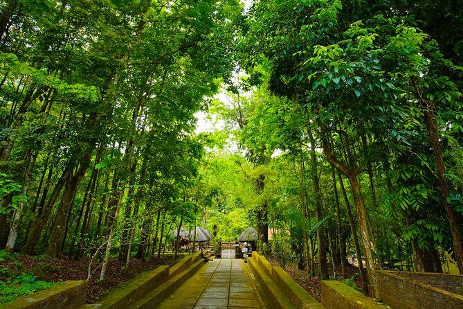 Discover Hidden Waterfall, Unesco Rice Terraces and Mountain Temple - Food and the small comforts that make an 8-hour day feel manageable