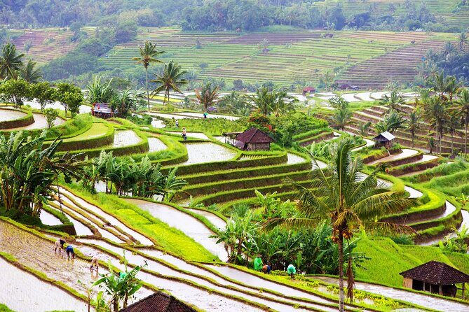 Discover Hidden Waterfall, Unesco Rice Terraces and Mountain Temple - The driver makes or breaks the day