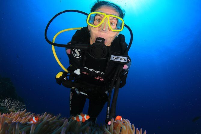 Discover Scuba Diving - Pool session: where beginners get their footing