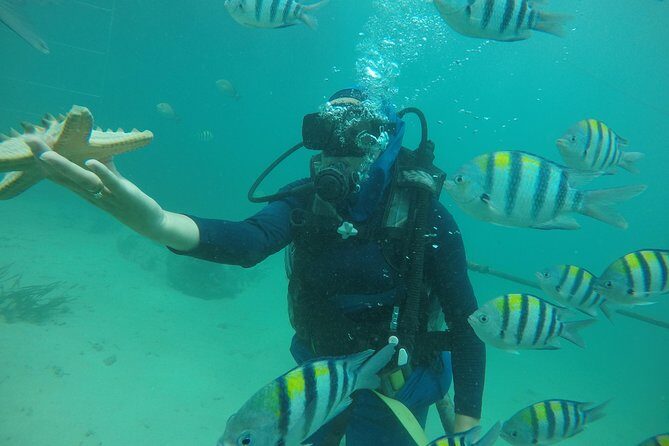 Discover Scuba Diving ( beginners) Combined With Jet Ski - Getting Your Sea Legs in Nusa Dua