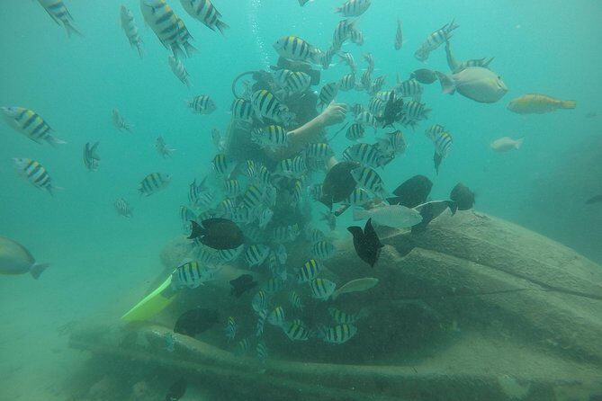 Discover Scuba Diving ( beginners) Combined With Jet Ski - What You’ll Do: Scuba Basics First, Jet Ski Second