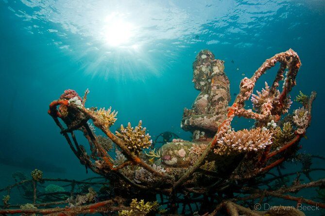 Discover Scuba Diving in Pemuteran at the Biorock site,1 shore dive all included - Why Biorock Reef in Pemuteran is so good for a first underwater session