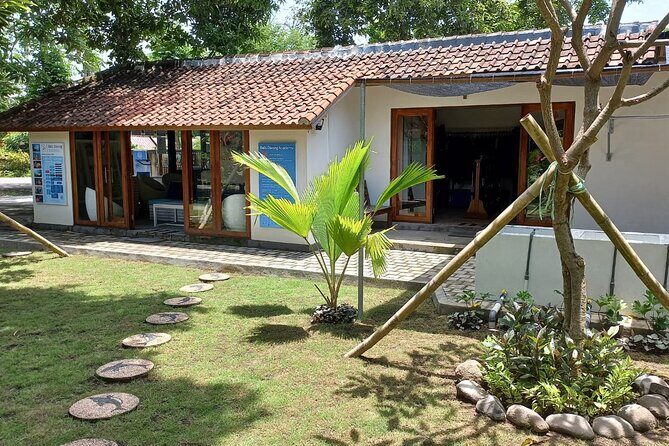 Discover Scuba Diving in Pemuteran at the Biorock site,1 shore dive all included - Menjangan Island stop: the park-fee detail you shouldn’t ignore