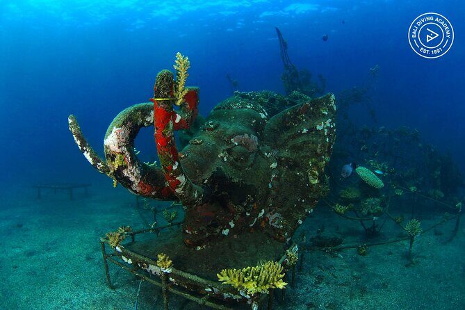 Discover Scuba Diving in Pemuteran at the Biorock site,1 shore dive all included - Timing, group size, and getting to the meeting point
