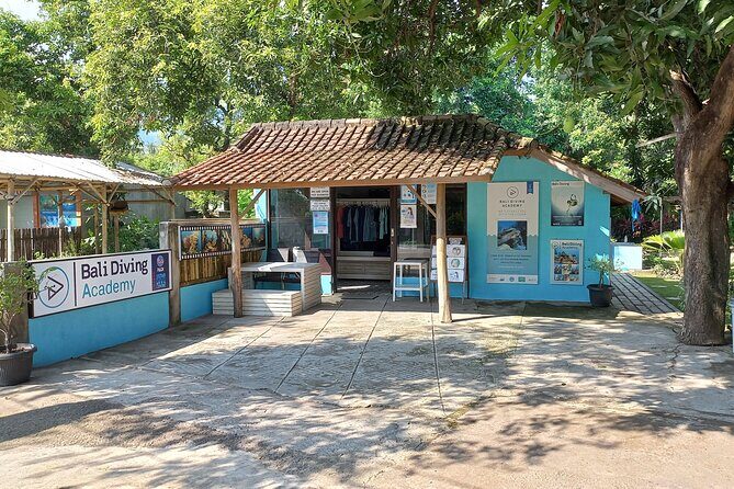 Discover Scuba Diving in Pemuteran at the Biorock site,1 shore dive all included - Should you book this Discover Scuba program?