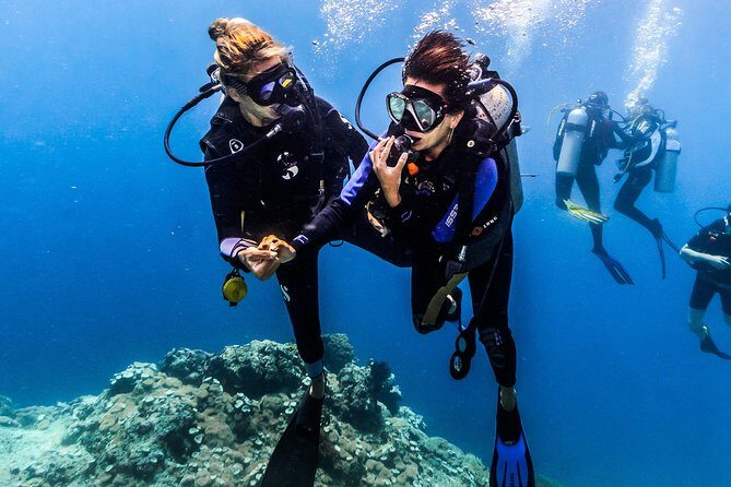 Discover Scuba Diving in Pemuteran - Diving Initiation in Bali (Menjangan Park) - First-timer scuba instruction in Pemuteran, with Menjangan National Park time