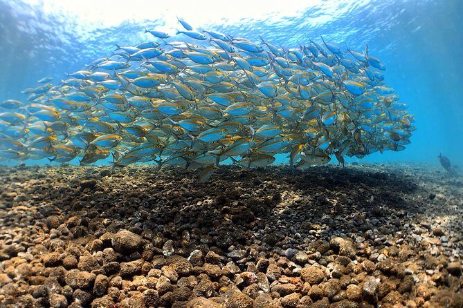 Discover Scuba Diving Tulamben Bali For Non-Certified Divers - The long day plan: pickup, Sanur paperwork, then the road to Tulamben
