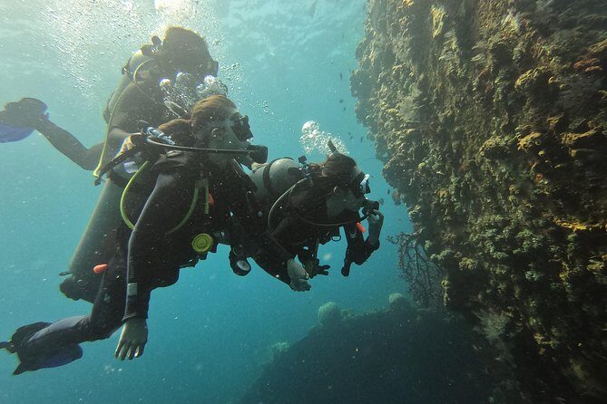 Discover Scuba Diving Tulamben Bali For Non-Certified Divers - Should you book this Tulamben non-certified scuba experience?