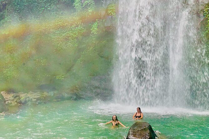 Discover The Best of Ubud: All-Inclusive and Private Guided Tour - Amertha Restaurant lunch with rice-field views: upgrade the day, not just your meal