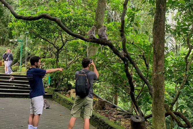 Discover The Best of Ubud: All-Inclusive and Private Guided Tour - Tirta Empul Temple: sacred water rituals and the sarong step