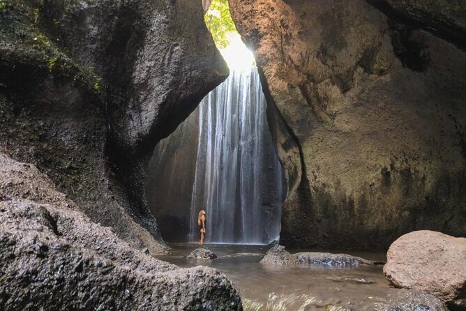 Discover the best waterfalls in Ubud and rice terraces tour - Stop 4: Sacred Monkey Forest Sanctuary and macaque encounters