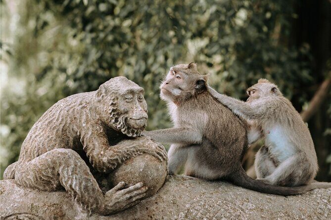 Discover Ubud: 2 Days Ubud Private Tour - Day 1: Batubulan to Monkey Forest to Tegalalang