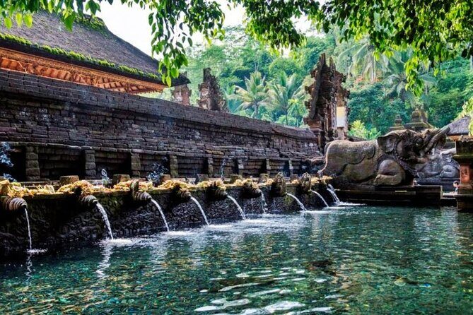 Discover Ubud: Exotism Ubud and Optional Meet the Bali Shaman - Monkey Forest and the Bucket List coffee stop: fun with a bit of realism