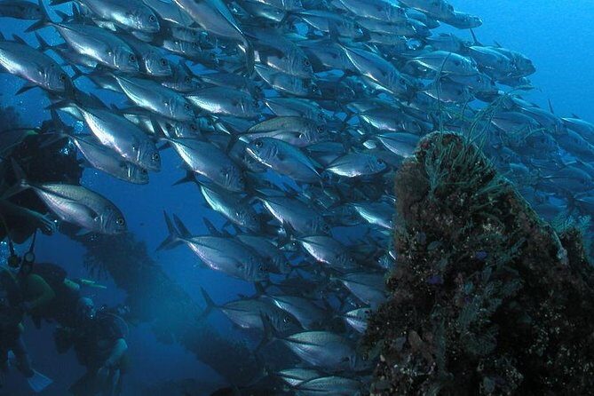Dive at Tulamben Bali USS Liberty Ship Wreck - Why the USS Liberty wreck is such a smart Bali day plan