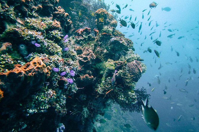 Dive at Tulamben Bali USS Liberty Ship Wreck - Lunch and hot drinks: the included comfort most people underestimate