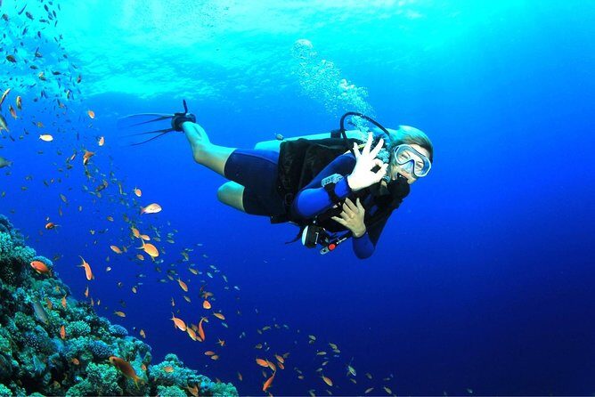 Dive at Tulamben Bali USS Liberty Ship Wreck - Transfers from Ubud, Candidasa, and south Bali: when timing becomes the real cost
