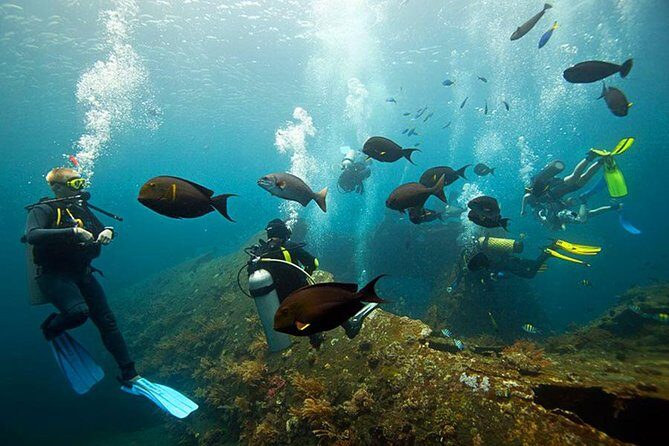 Dive at Tulamben Bali USS Liberty Ship Wreck - Price and value check for $110 per person