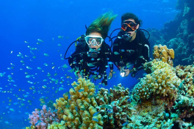 Dive at Tulamben Bali USS Liberty Ship Wreck - Who should book this USS Liberty day, and who might want alternatives