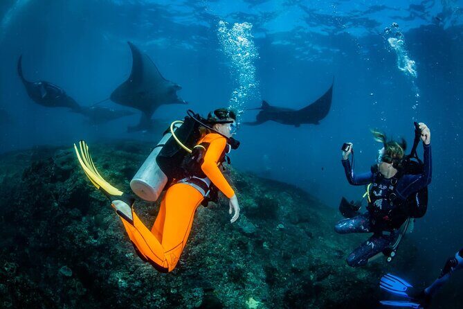 Diving in Nusa Penida - Key things to know before you go