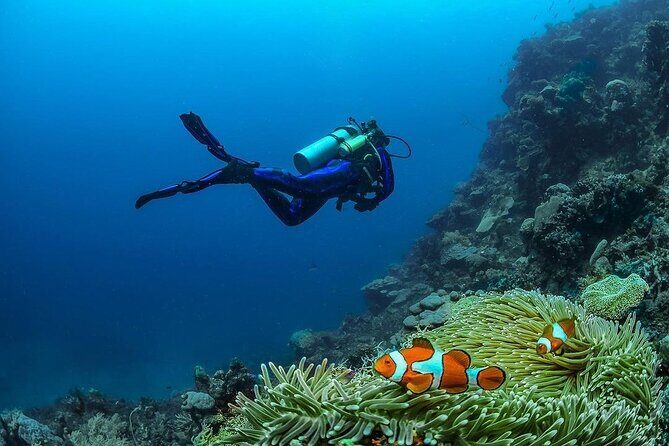 Diving in Nusa Penida - Equipment and instructor care: what’s included, what you bring