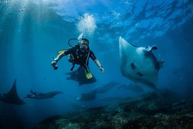 Diving in Nusa Penida - Pool training that turns nerves into muscle memory