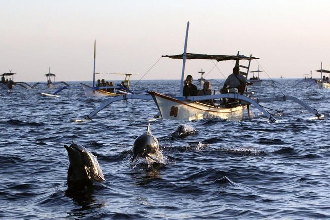 Dolphin Tour and Sunrise Watching in Lovina Beach - All Inclusive - Lovina at dawn: spinner dolphins and the morning rhythm