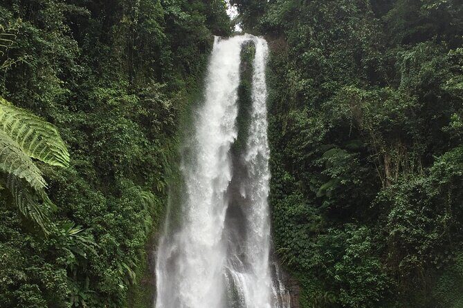 Dolphin Tour and Sunrise Watching in Lovina Beach - All Inclusive - Wanagiri Hidden Hills swing above Lake Buyan