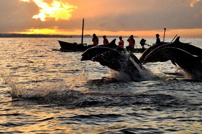 Dolphin Tour and Sunrise Watching in Lovina Beach - All Inclusive - Door-to-door pickup at 3 a.m.: the logistics that make or break it