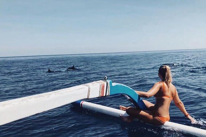 Dolphin Watching Tour, Swimming with Dolphins and Snorkeling - Key things that make this tour worth your morning
