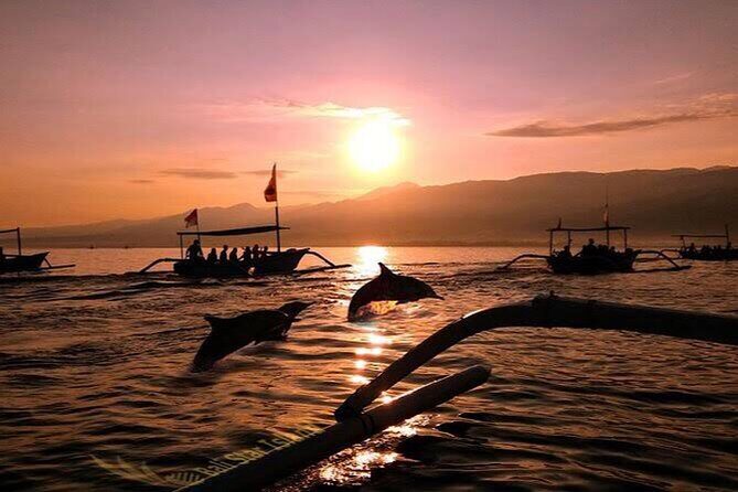 Dolphin Watching Tour, Swimming with Dolphins and Snorkeling - Lovina Sunrise Dolphin Hunting: why this feels more local