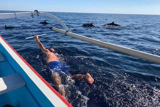 Dolphin Watching Tour, Swimming with Dolphins and Snorkeling - Drivers and captains: punctuality and care show up in the details